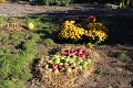 30.09.18 03-46 Tag_der_Regionen_2018-Tag d Region 2018 A (8)-009